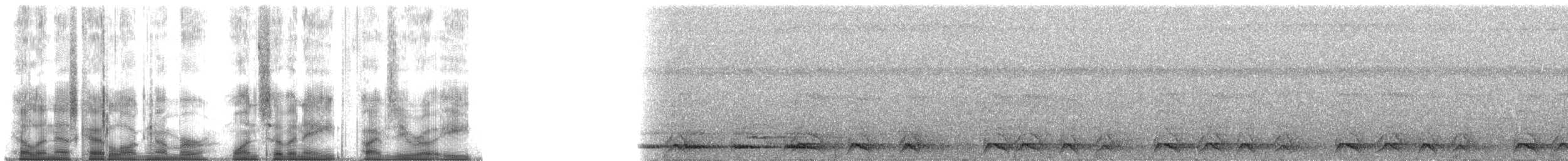 Kestane Sırtlı Serçe Baykuşu - ML178508