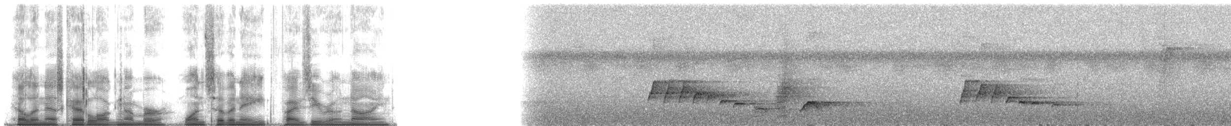 Ланкийская лазоревая сорока - ML178509