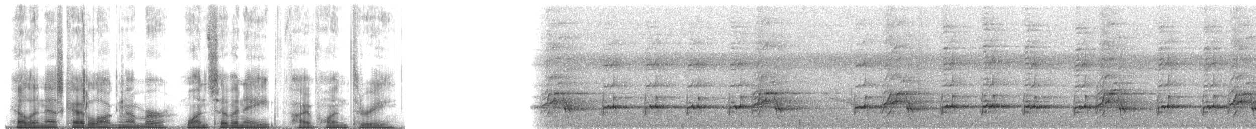 Ceylonspornhuhn - ML178513