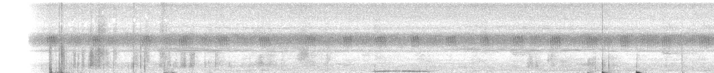 holub srílanský - ML178524711
