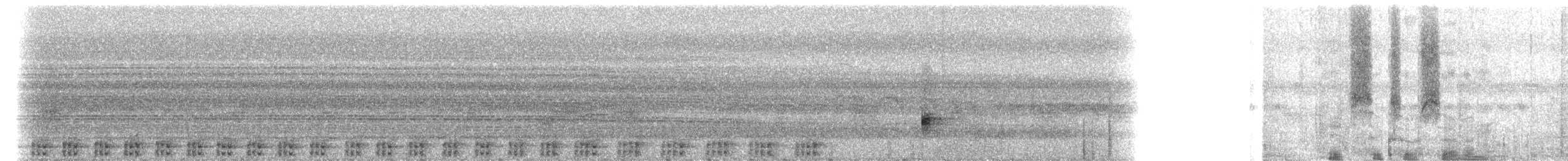 灰腳秧雞 - ML178526