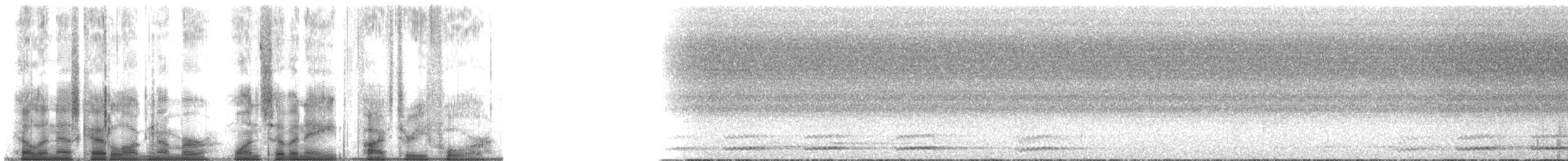 Kestane Sırtlı Serçe Baykuşu - ML178534