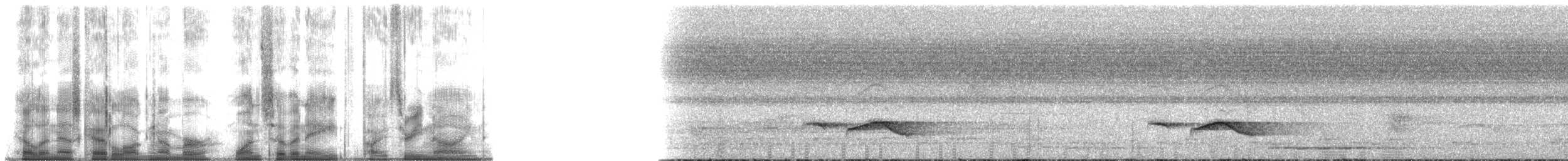 Бурошапочная тимелия-говорушка - ML178539