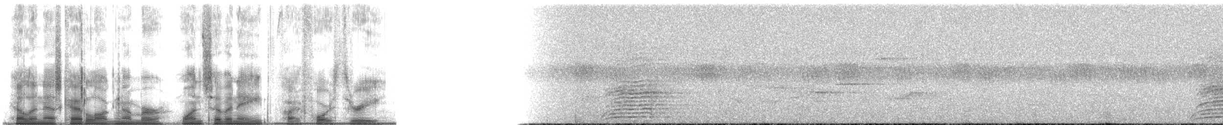 Sri Lanka Gray Hornbill - ML178543