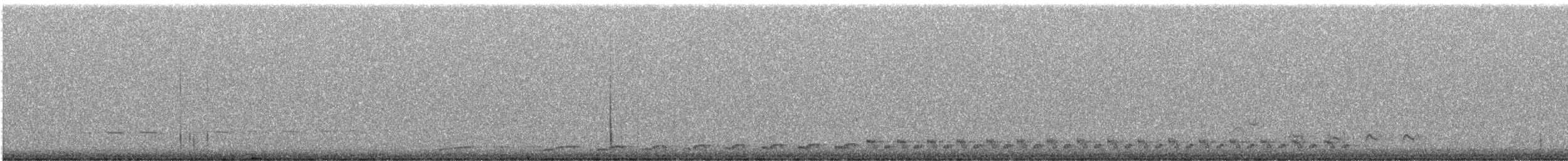 Spotted Nightjar - ML178543611