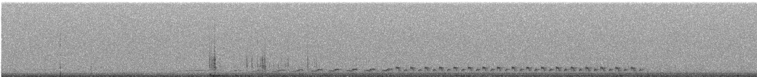Spotted Nightjar - ML178543621