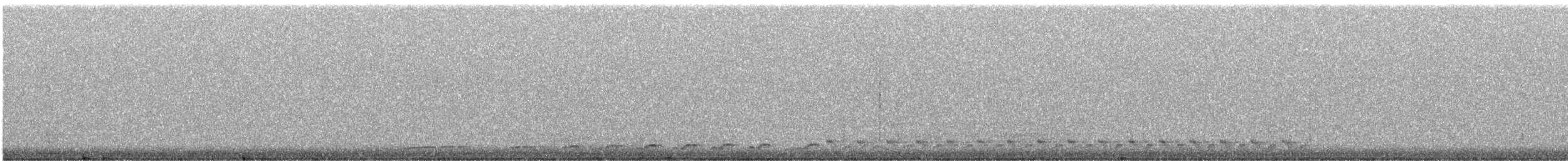 Spotted Nightjar - ML178543671