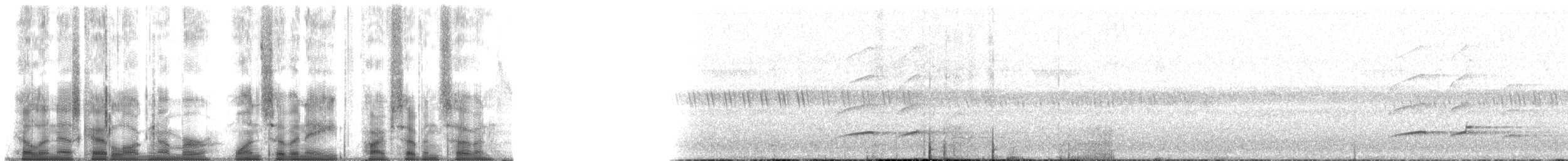 Орел-чубань індійський (підвид cirrhatus/ceylanensis) - ML178577