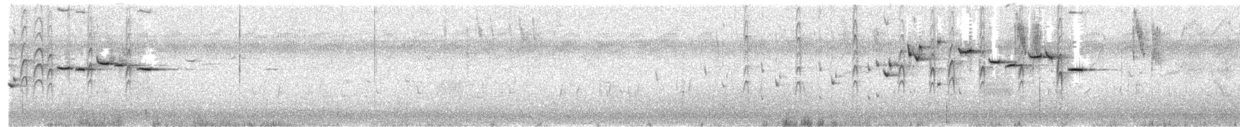 Віялохвістка сиза - ML178636611