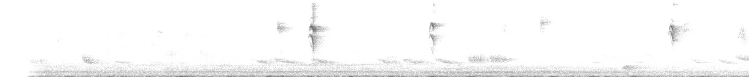 Zuckervogel (caboti) - ML178681411