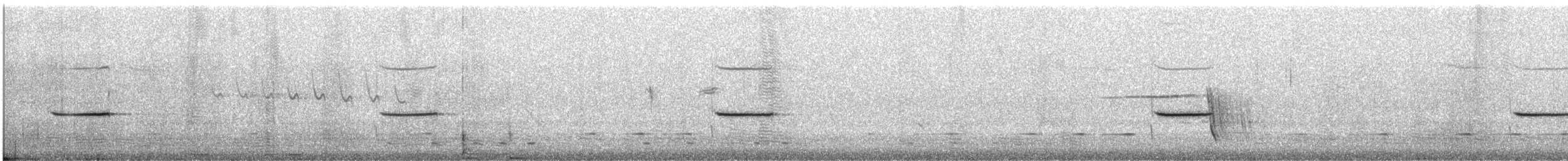 Black Honeyeater - ML178682881