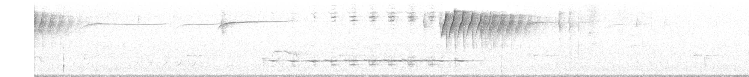 Spotted Quail-thrush - ML178798981