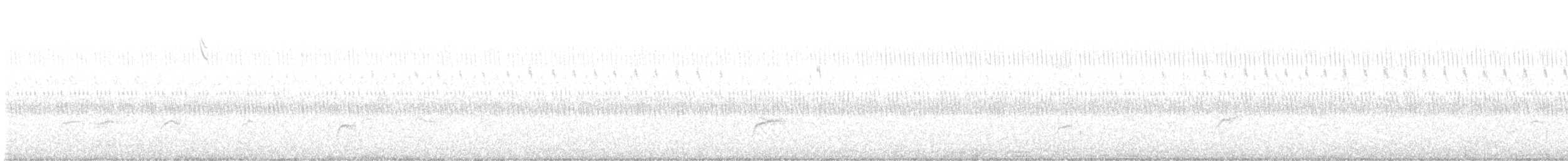Бор шувууны багын тодорхойгүй зүйл - ML178810921