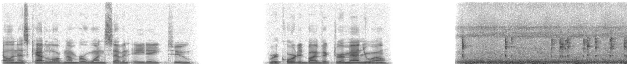 Dark-breasted Spinetail - ML17882
