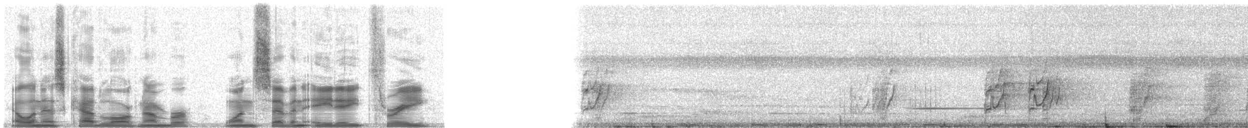 amazónek zlatolící - ML17883