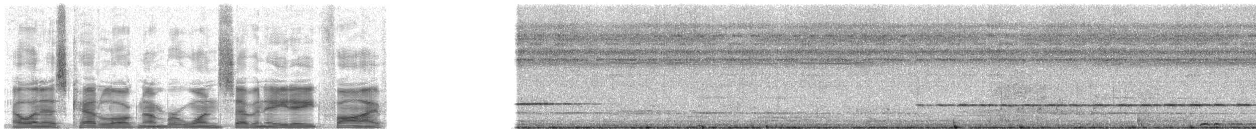 Pullu Çıtkuşu [marginatus grubu] - ML17885