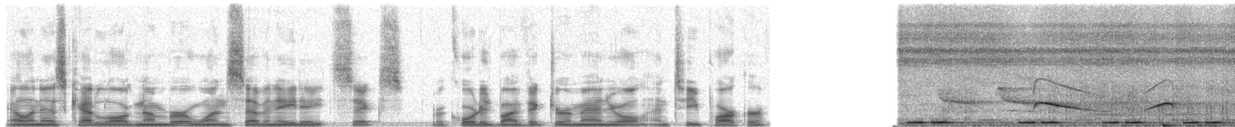 vousák zlatý - ML17886