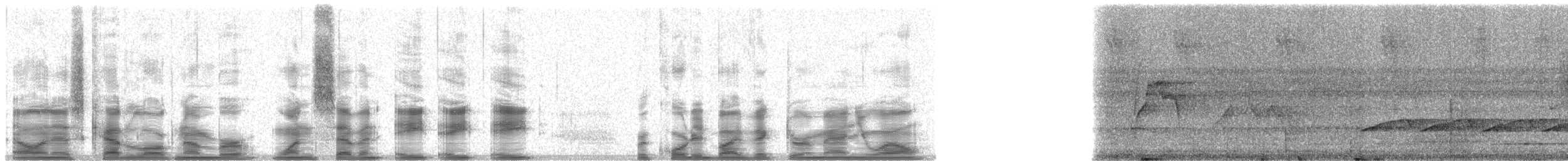 Blaustirn-Glanzvogel - ML17888