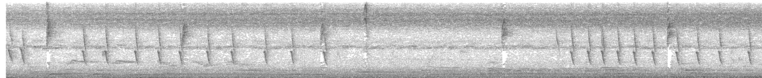 Sombre Hummingbird - ML178893001