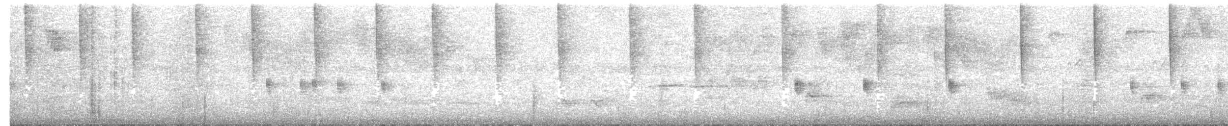Schwarzkolibri - ML178893161
