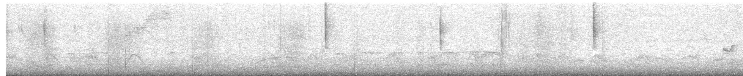 Schwarzkolibri - ML178893181
