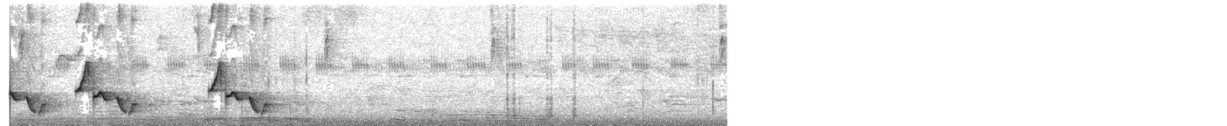 Langschnabel-Zaunkönig - ML178909491
