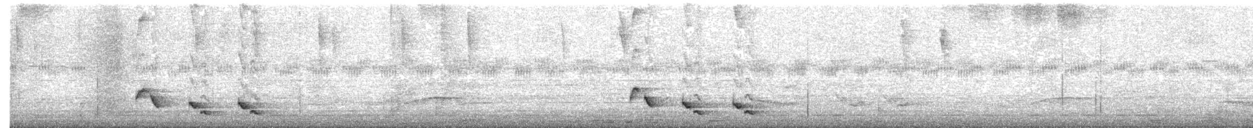 Langschnabel-Zaunkönig - ML178909591