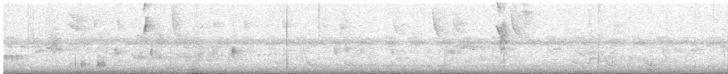 Perlenmantel-Ameisenwürger - ML178911361