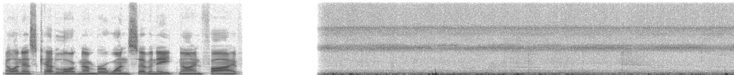 Dwarf Tyrant-Manakin - ML17895