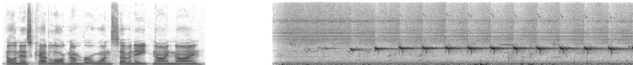 Bamboo Antshrike - ML17899