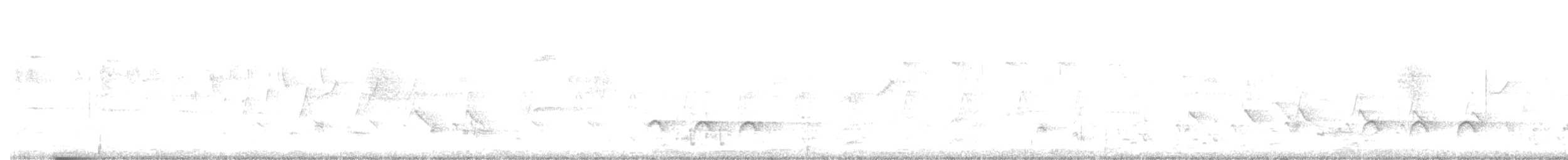 Белобрюхий дронго - ML179098681