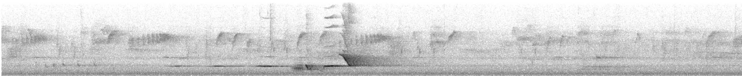 Серогрудый питуи - ML179151131