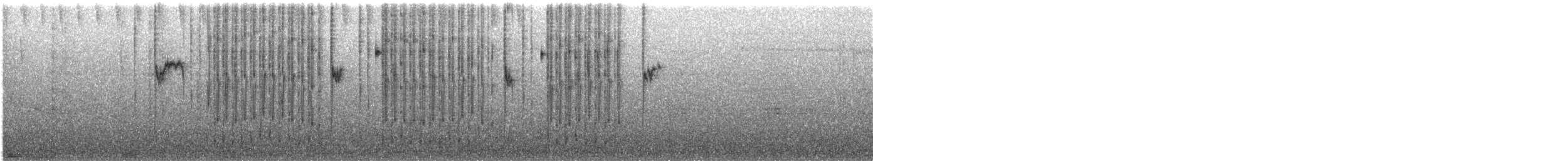 Пестрохвостая эферуса - ML179165431