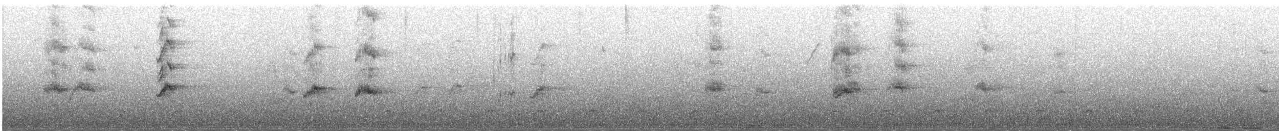 Желтокрылая которра - ML179165441