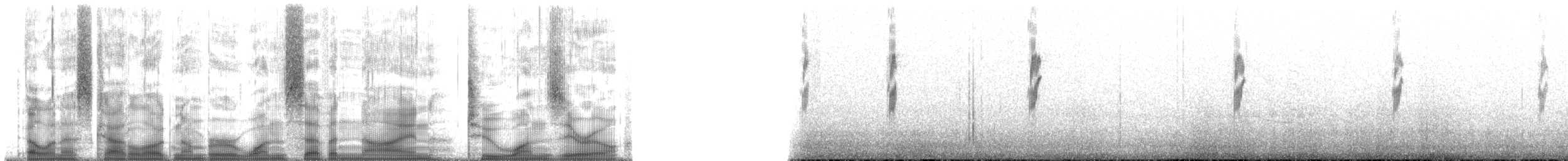 Патагонский конёк [группа correndera] - ML179210