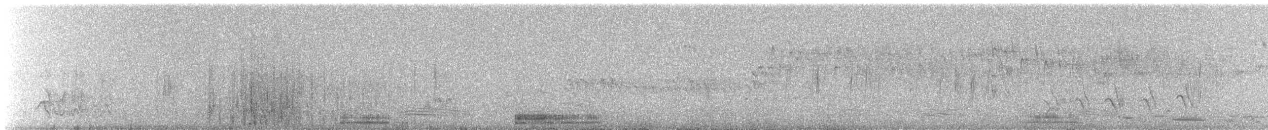 Plumed Egret - ML179233001