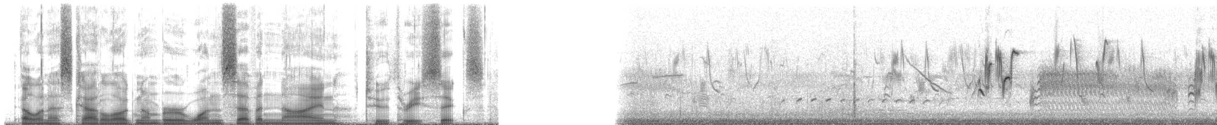 Патагонский конёк [группа correndera] - ML179236