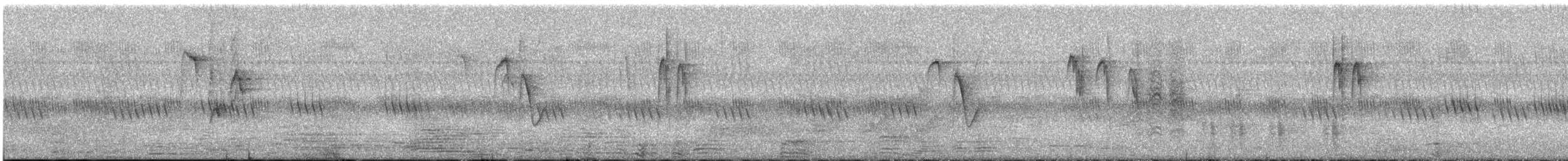 orientkjøttmeis (minor gr.) - ML179264841