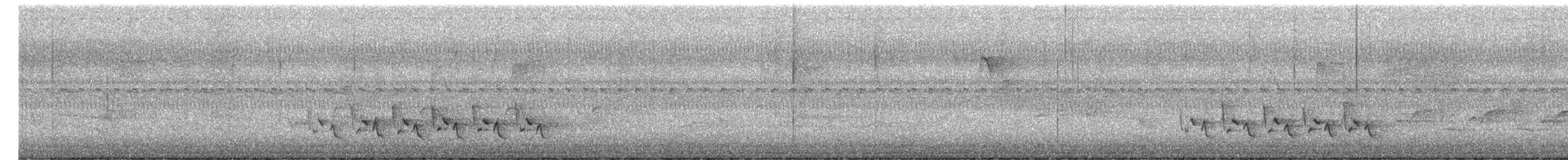 Carolina Wren - ML179284801