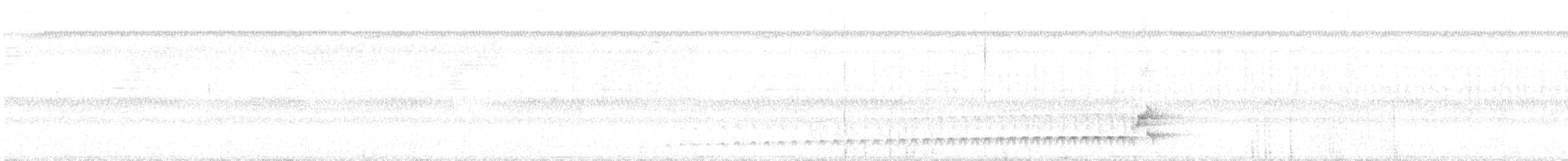 Серый тиранн-плакса - ML179285161