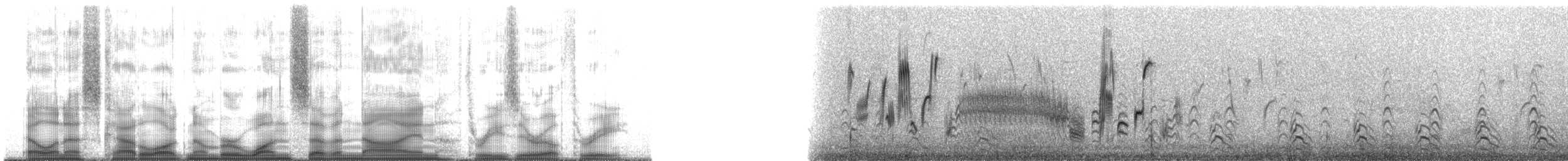 Патагонский конёк [группа correndera] - ML179303
