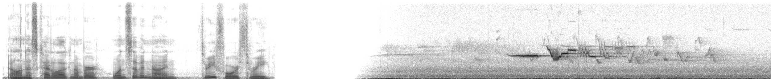 Дрізд-короткодзьоб плямистоволий - ML179343