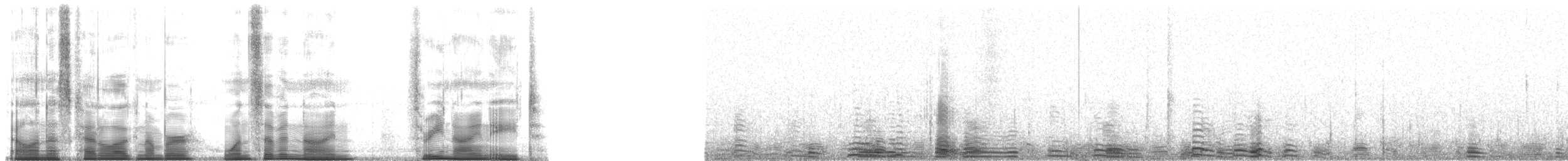 labuť trubač - ML179398