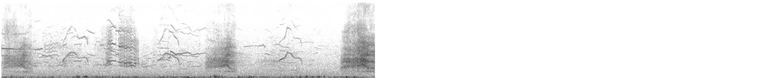 裏海燕鷗 - ML179401701