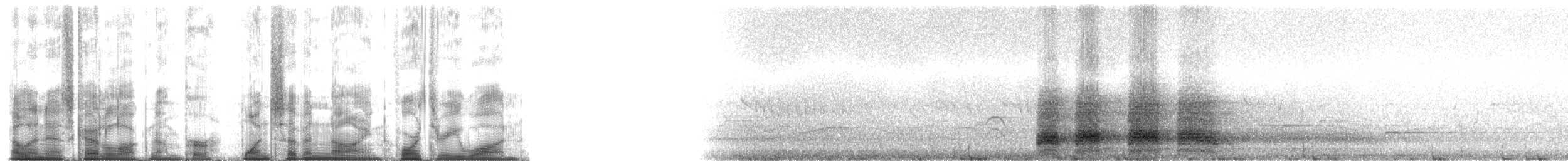 Koklass Pheasant - ML179431