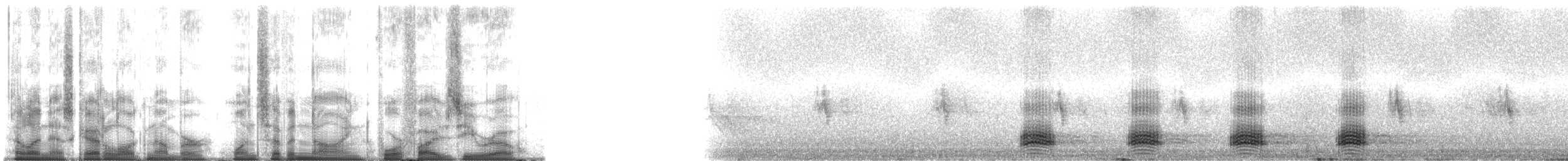 Large-billed Crow - ML179450