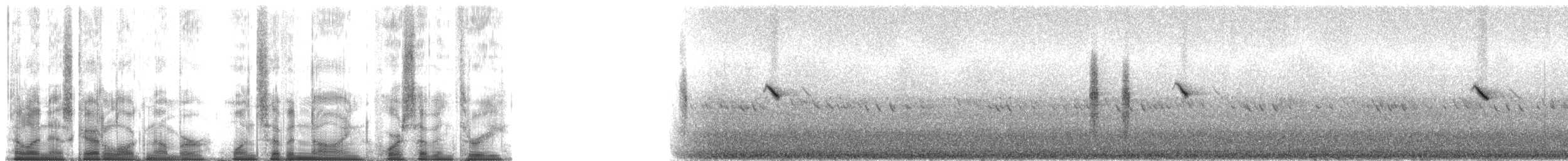 Сибирский черноголовый чекан [группа maurus] - ML179473