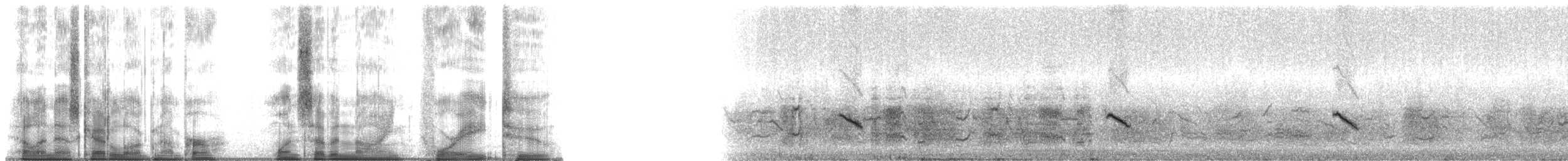 bramborníček černobílý - ML179482