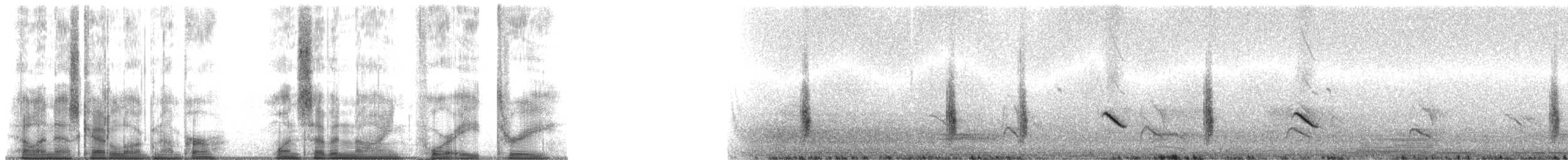 Pied Bushchat - ML179483