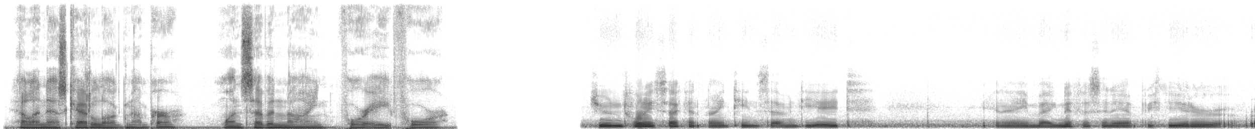 střízlík obecný [skupina troglodytes] - ML179484